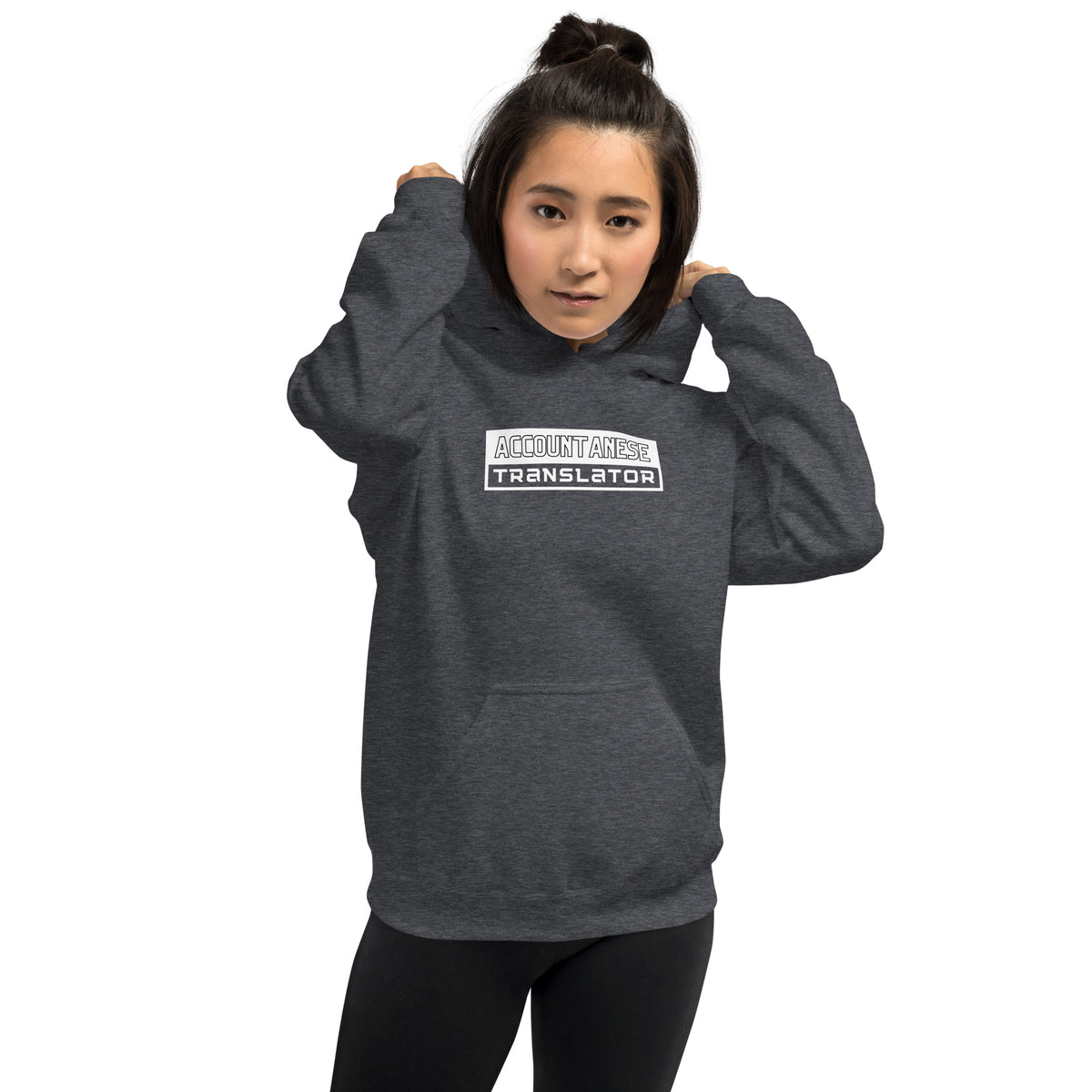 Accountanese Translator D3